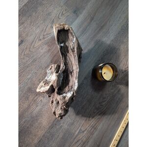 Driftwood So CAL Beach Ocean Wood Sculpture Art Landscape Decor Crafts Garden